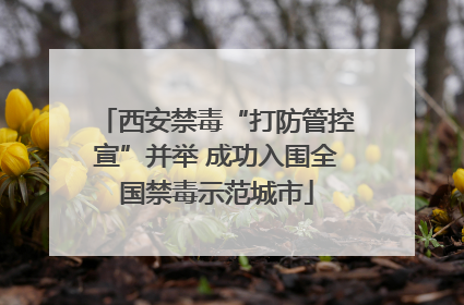 西安禁毒“打防管控宣”并举 成功入围全国禁毒示范城市