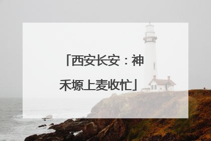 西安长安：神禾塬上麦收忙