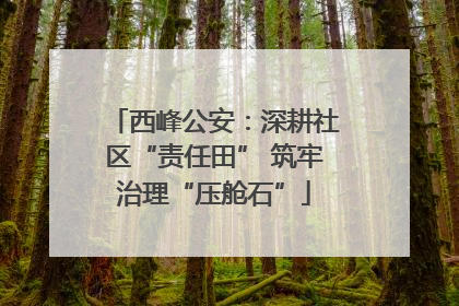 西峰公安：深耕社区“责任田” 筑牢治理“压舱石”