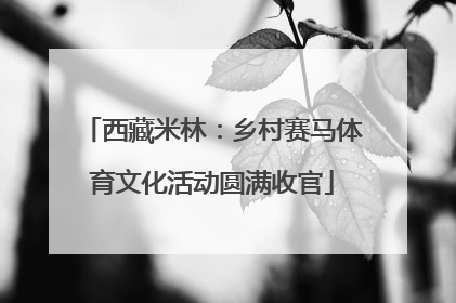 西藏米林：乡村赛马体育文化活动圆满收官