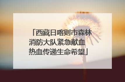 西藏日喀则市森林消防大队紧急献血 热血传递生命希望