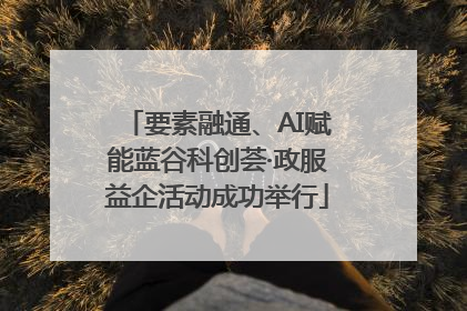要素融通、AI赋能蓝谷科创荟·政服益企活动成功举行