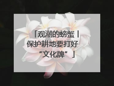观潮的螃蟹丨保护耕地要打好“文化牌”