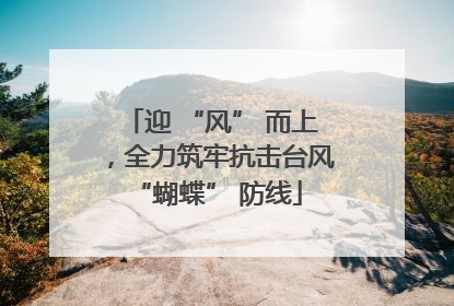 迎 “风” 而上，全力筑牢抗击台风 “蝴蝶” 防线