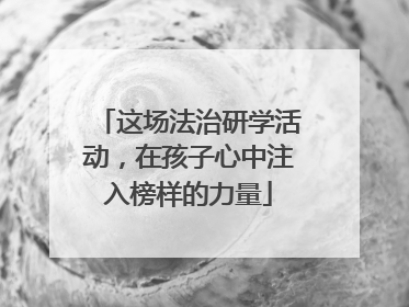 这场法治研学活动，在孩子心中注入榜样的力量