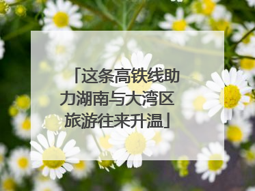 这条高铁线助力湖南与大湾区旅游往来升温