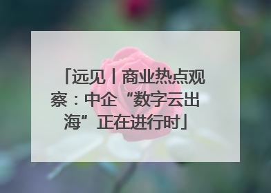 远见丨商业热点观察：中企“数字云出海”正在进行时