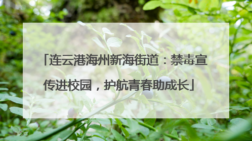 连云港海州新海街道：禁毒宣传进校园，护航青春助成长