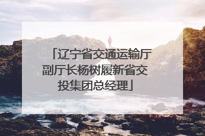 辽宁省交通运输厅副厅长杨树履新省交投集团总经理