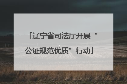 辽宁省司法厅开展“公证规范优质”行动
