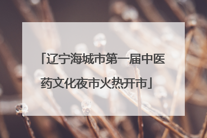 辽宁海城市第一届中医药文化夜市火热开市