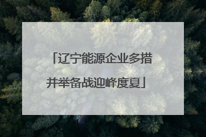 辽宁能源企业多措并举备战迎峰度夏