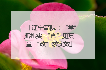 辽宁高院：“学”抓扎实 “查”见真章 “改”求实效