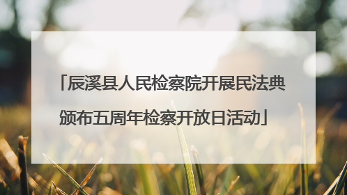 辰溪县人民检察院开展民法典颁布五周年检察开放日活动