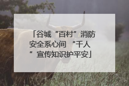 谷城“百村”消防安全系心间 “千人”宣传知识护平安