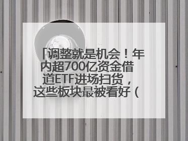 调整就是机会！年内超700亿资金借道ETF进场扫货，这些板块最被看好（附名单）
