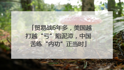 贸易战6年多，美国越打越“亏”陷泥潭，中国苦练“内功”正当时