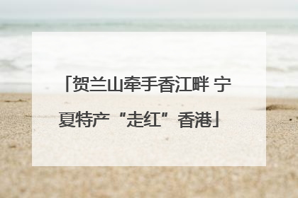 贺兰山牵手香江畔 宁夏特产“走红”香港
