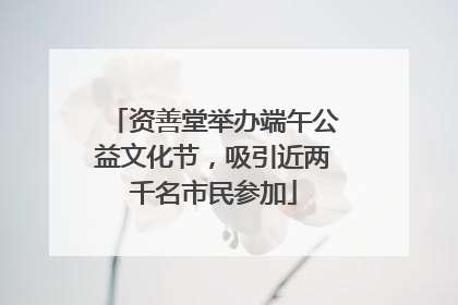 资善堂举办端午公益文化节，吸引近两千名市民参加