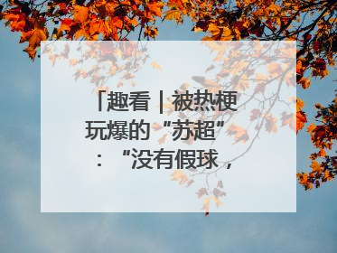 趣看｜被热梗玩爆的“苏超”：“没有假球，全是世仇”