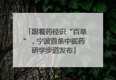 跟着药径识“百草”，宁波首条中医药研学步道发布