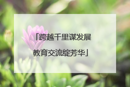 跨越千里谋发展 教育交流绽芳华