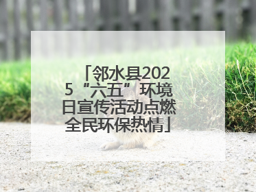 邻水县2025“六五”环境日宣传活动点燃全民环保热情