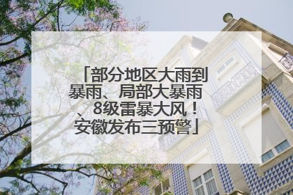 部分地区大雨到暴雨、局部大暴雨、8级雷暴大风！安徽发布三预警