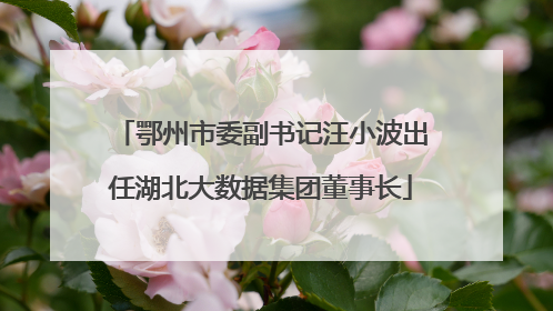 鄂州市委副书记汪小波出任湖北大数据集团董事长