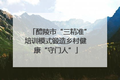 醴陵市“三精准”培训模式锻造乡村健康“守门人”