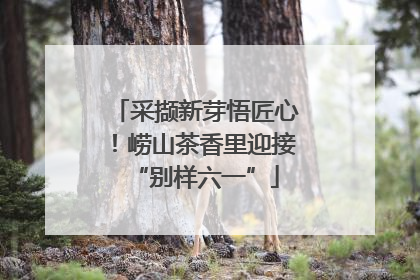 采撷新芽悟匠心！崂山茶香里迎接“别样六一”