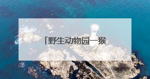 野生动物园一猴子“丑”出圈，当地保育员回应