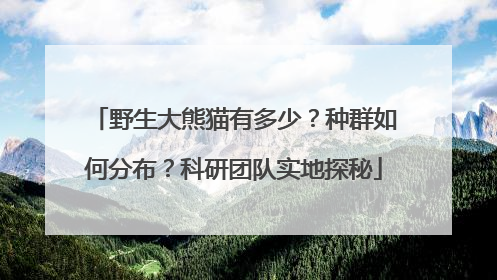 野生大熊猫有多少？种群如何分布？科研团队实地探秘