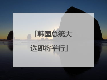 韩国总统大选即将举行