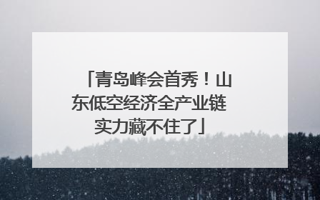 青岛峰会首秀！山东低空经济全产业链实力藏不住了