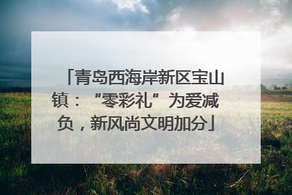 青岛西海岸新区宝山镇：“零彩礼”为爱减负，新风尚文明加分