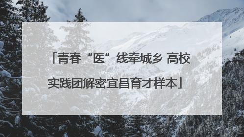 青春“医”线牵城乡 高校实践团解密宜昌育才样本