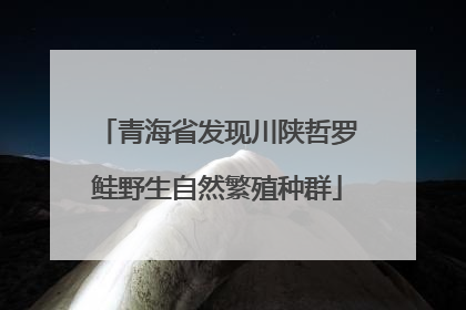 青海省发现川陕哲罗鲑野生自然繁殖种群