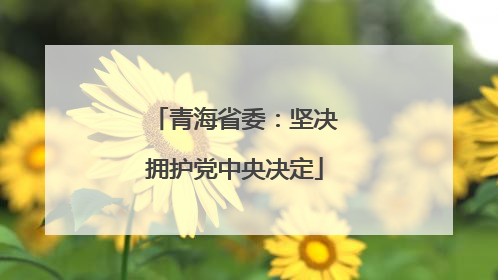 青海省委：坚决拥护党中央决定