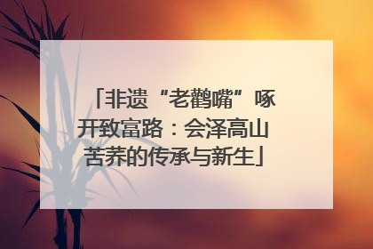 非遗“老鹳嘴”啄开致富路：会泽高山苦荞的传承与新生