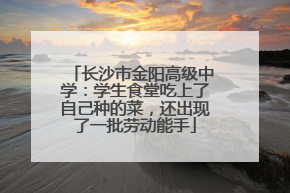 长沙市金阳高级中学：学生食堂吃上了自己种的菜，还出现了一批劳动能手