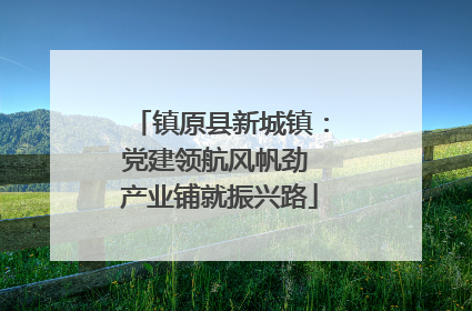 镇原县新城镇：党建领航风帆劲 产业铺就振兴路