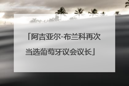 阿吉亚尔-布兰科再次当选葡萄牙议会议长
