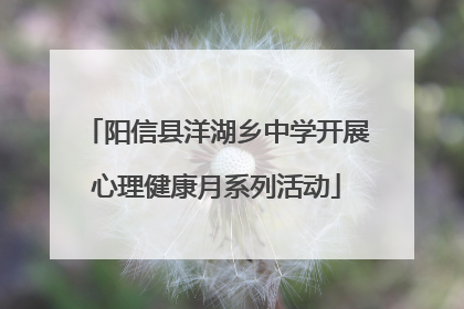 阳信县洋湖乡中学开展心理健康月系列活动