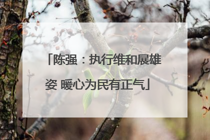 陈强：执行维和展雄姿 暖心为民有正气