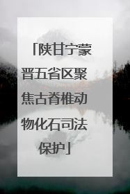 陕甘宁蒙晋五省区聚焦古脊椎动物化石司法保护
