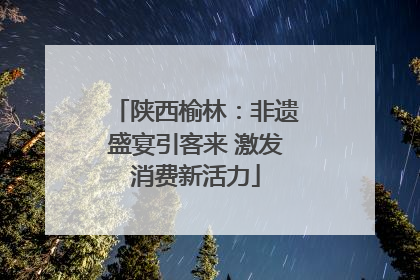 陕西榆林：非遗盛宴引客来 激发消费新活力