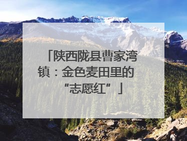 陕西陇县曹家湾镇：金色麦田里的“志愿红”