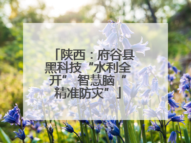陕西：府谷县黑科技“水利全开” 智慧脑“精准防灾”
