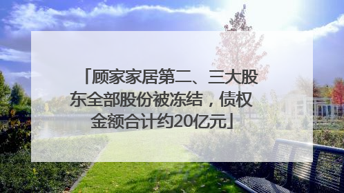 顾家家居第二、三大股东全部股份被冻结，债权金额合计约20亿元